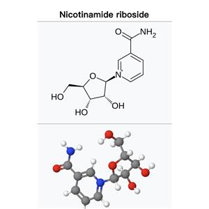 Nicotinamide riboside