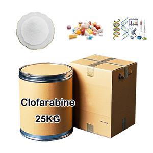 Clofarabine