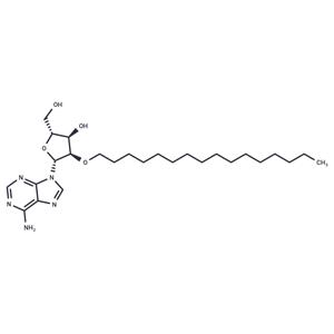 2'-O-Hexadecanyl adenosine