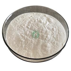 Dehydroepiandrosterone /DHEA