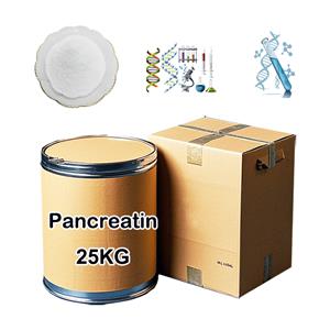 Pancreatin
