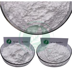 Citicoline / CDP choline