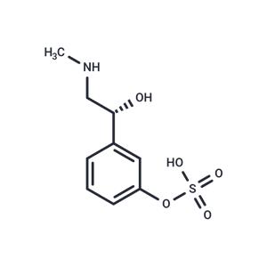 Phenylephrine-3-O-Sulfate