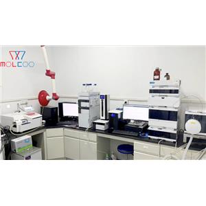 Dotinurad Impurity 56