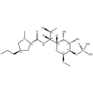 Clindamycin phosphate