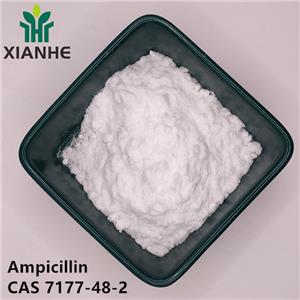 Ampicillin