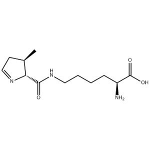 L-Pyrrolysine