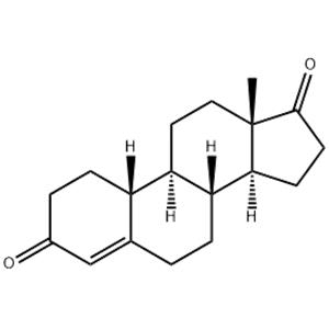 Norandrostenedione