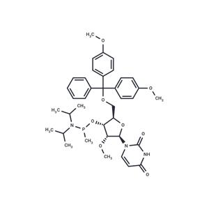 5'-O-DMTr-2'-OMeU-methyl phosphonamidite
