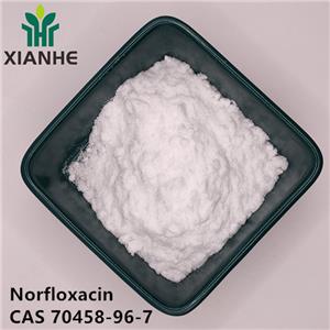 Norfloxacin