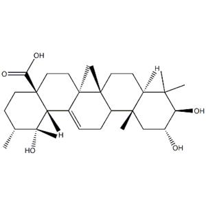 2α,19α－Dihydroxyursolic acid