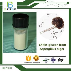 Chitin-glucan from Aspergillus niger