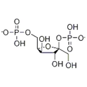 fructose 2,6-diphosphate