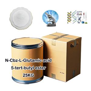 N-Cbz-L-Glutamic acid 5-tert-butyl ester