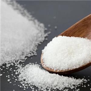 2-(2-Chloroethyl)-N-methyl-pyrrolidine hydrochloride