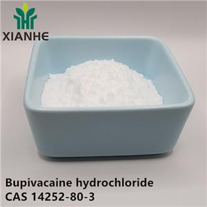 Bupivacaine hydrochloride