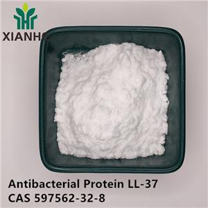 Antibacterial Protein LL-37