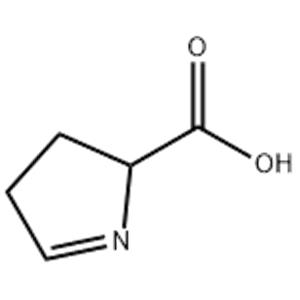 3,4-dihydro-2H-pyrrole-2-carboxylic acid