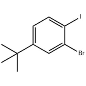 2-Bromo-4-tert-butyl-1-iodo-benzene