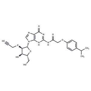 N2-(Isopropylphenoxyacetyl)-2'-O-propargylguanosine