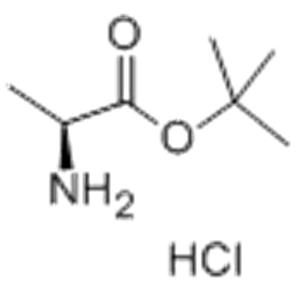 tert-Butyl L-alaninate hydrochloride