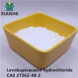 Levobupivacaine hydrochloride