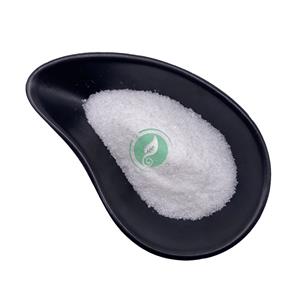 N-Acetylneuraminic acid