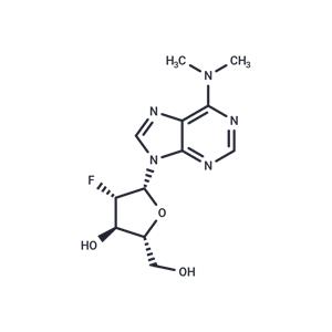 2'-Fluoro-2'-deoxy-N6,N6-dimethylarabinoadenosine
