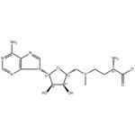 S-Adenosyl-L-methionine pictures