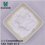 7689-03-4 (+)-Camptothecin