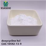 10592-13-9 doxycycline hcl
