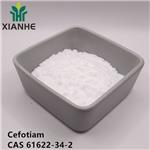 61622-34-2 Cefotiam