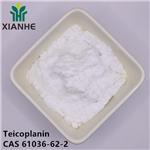 61036-62-2 Teicoplanin