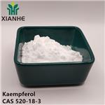 520-18-3 Kaempferol