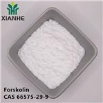 66575-29-9 Forskolin
