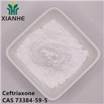 73384-59-5 Ceftriaxone