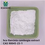 90045-23-1 hca Garcinia cambogia extract