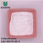 80210-62-4 Cefpodoxime