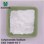 Cefpiramide Sodium pictures