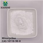 10118-90-8 Minocycline