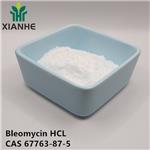 Bleomycin HCL pictures