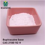 2180-92-9 Bupivacaine base