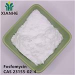 23155-02-4 Fosfomycin