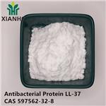 Antibacterial Protein LL-37 pictures