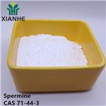 71-44-3 Spermine
