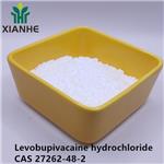 27262-48-2 Levobupivacaine hydrochloride