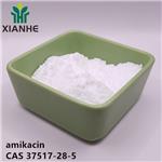 37517-28-5 amikacin