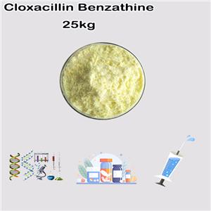 Cloxacillin benzathine Vet pharma use