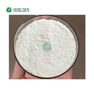 N-Acetyl Selank Amidate