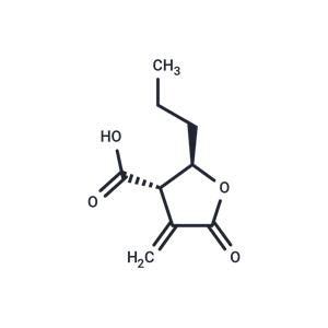 Butyrolactone 3